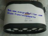 Air Filter P611696  49456