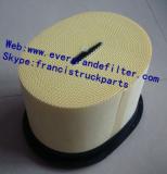 Air Filter 252-5001  252-5002