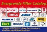 Evergrande  China Truck  Filter