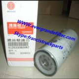 WEICHAI Fuel Filter 612630080087 WDK11102/4